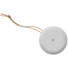 Bang & Olufsen Beosound A1 2nd Gen - 1,52 cm (0.6 colio) - 8,89 cm (3,5 colio) - 55 - 20000 Hz - belaidis - USB Type-C - pilka (1734001)