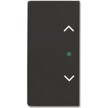 BUSCH JAEGER BJ 6232-20-885 jungiklio svirtis 2f akla juoda matinė Busch-freeahome future