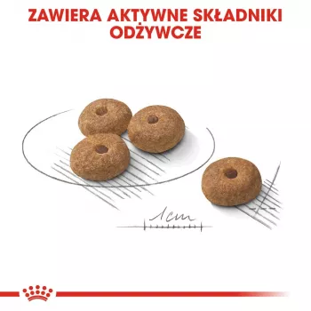 Sausas šunų ėdalas Royal Canin MINI Sterilised – suaugusiems mažų veislių šunims 8 kg, vištiena, dantų priežiūra, svorio kontrolė