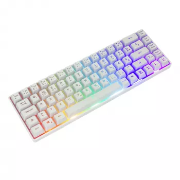 Klaviatūra White Shark RONIN White USB QWERTY 68 klavišų LED