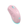 Belaidė pelė Baracuda Turtle BGM-124 rožinė TURTLE-P