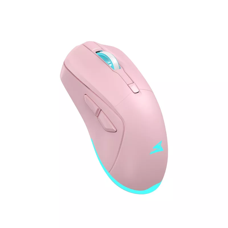 Belaidė pelė Baracuda Turtle BGM-124 rožinė TURTLE-P