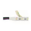 Synergy 21 LED Flex juosta 5050 - 60 RGB DC24V + RGB-W vienas lustas šilta balta IP68
