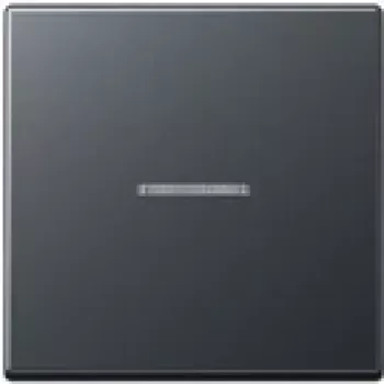 Jung A 590 BF KO5 Anm (A590BFKO5ANM) – originalus JUNG gaminys
