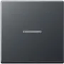 Jung A 590 BF KO5 Anm (A590BFKO5ANM) – originalus JUNG gaminys