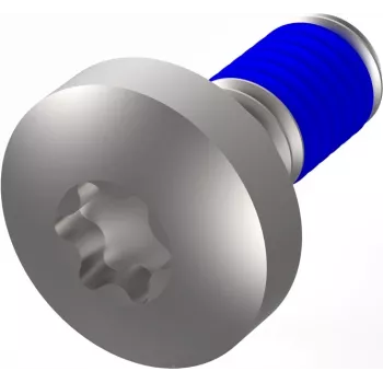 SCHROFF LIKOSCHR.TORX M4X10 varžtai (100 vnt.) (24566103)
