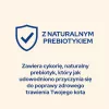 Purina CAT CHOW STERILISED sausas ėdalas katėms 1,5 kg Suaugusios Vištiena