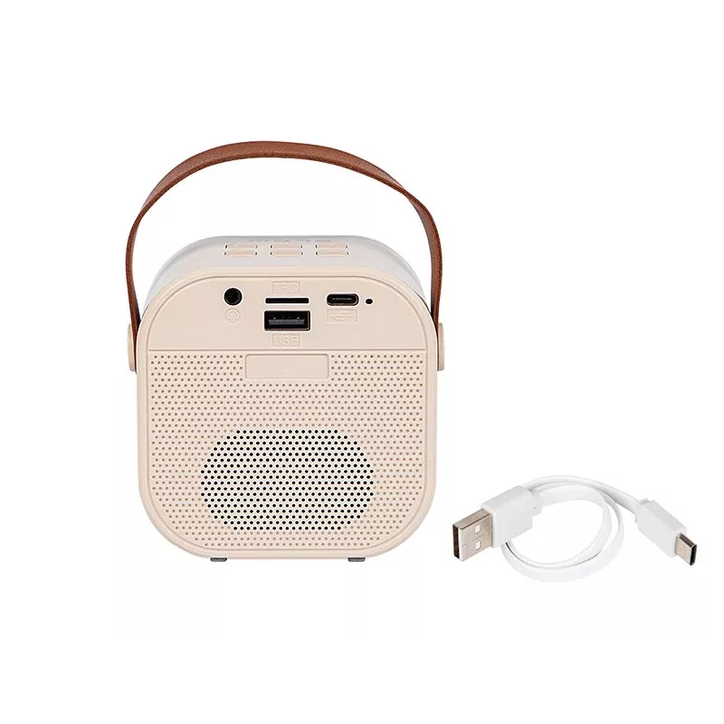 Karaoke garsiakalbis BLOW RGB Bluetooth 30W