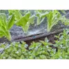 GARDENA 13321-20 purškimo antgalis lašelinio laistymo sistemai
