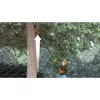 Pjūklas ant stiepo Black & Decker GPC1820L20, 18V 2Ah įmontuota baterija, 20 cm padanga, 3,7 kg