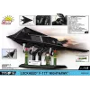 Lockheed F-117 Nighthawk modelio rinkinys (1:48 mastelis)