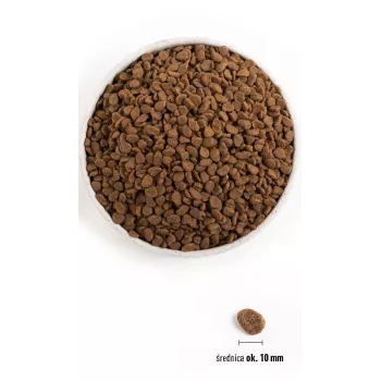 ORIJEN Six Fish Cat - sausas kačių maistas - 5,4 kg