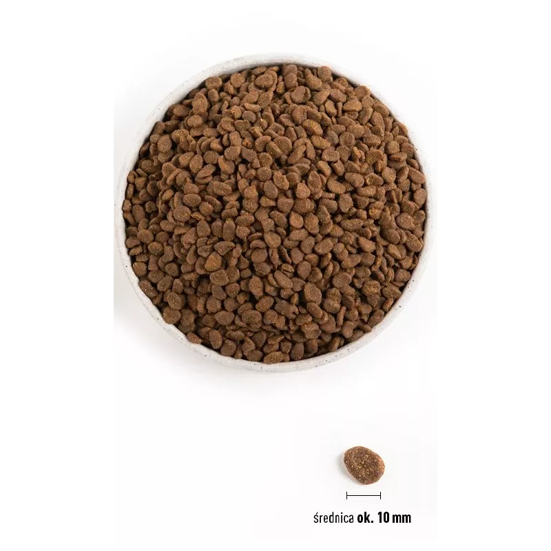 ORIJEN Six Fish Cat - sausas kačių maistas - 5,4 kg