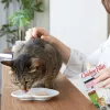 INABA Ciao keptelėti vištienos filė vištienos skonio sultinyje - skanėstai katėms - 25g