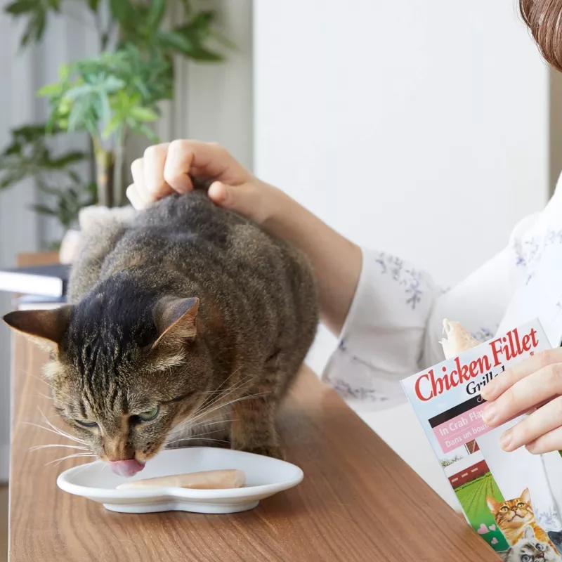 INABA Ciao keptelėti vištienos filė vištienos skonio sultinyje - skanėstai katėms - 25g