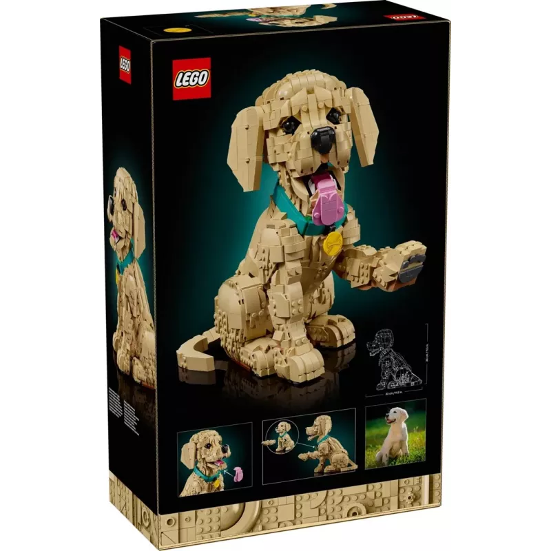 LEGO ICONS 11384 Auksaspalvis retriverio šuniukas