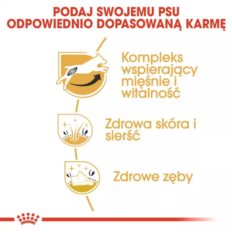 ROYAL CANIN Jack Russell Adult – Sausas šunų ėdalas – 7,5 kg