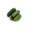 Agurkų sėklos Wisconsin Cucumber SMR 58 Toraf, 5g pakuotė