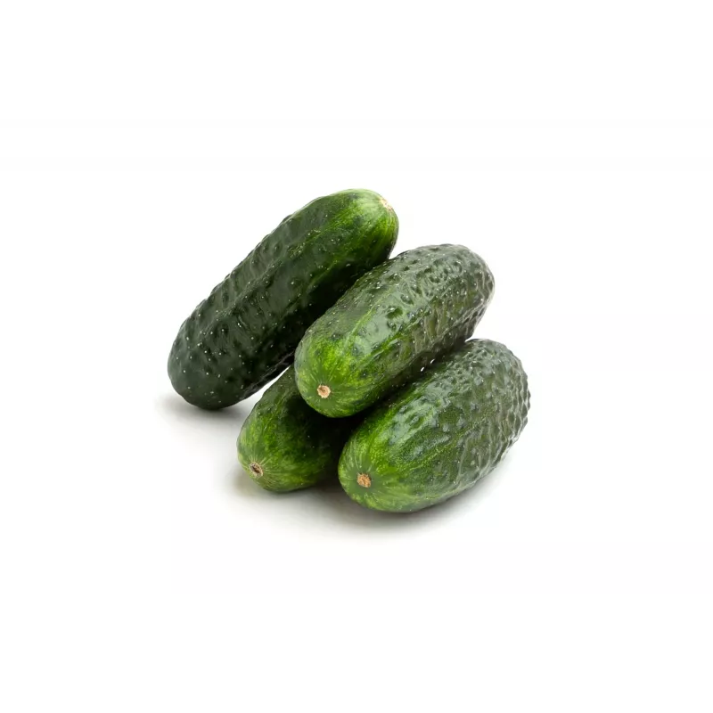 Agurkų sėklos Wisconsin Cucumber SMR 58 Toraf, 5g pakuotė
