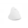 NATEC Crake 2 pelė Universal RF belaidė + Bluetooth optinė 2400 DPI