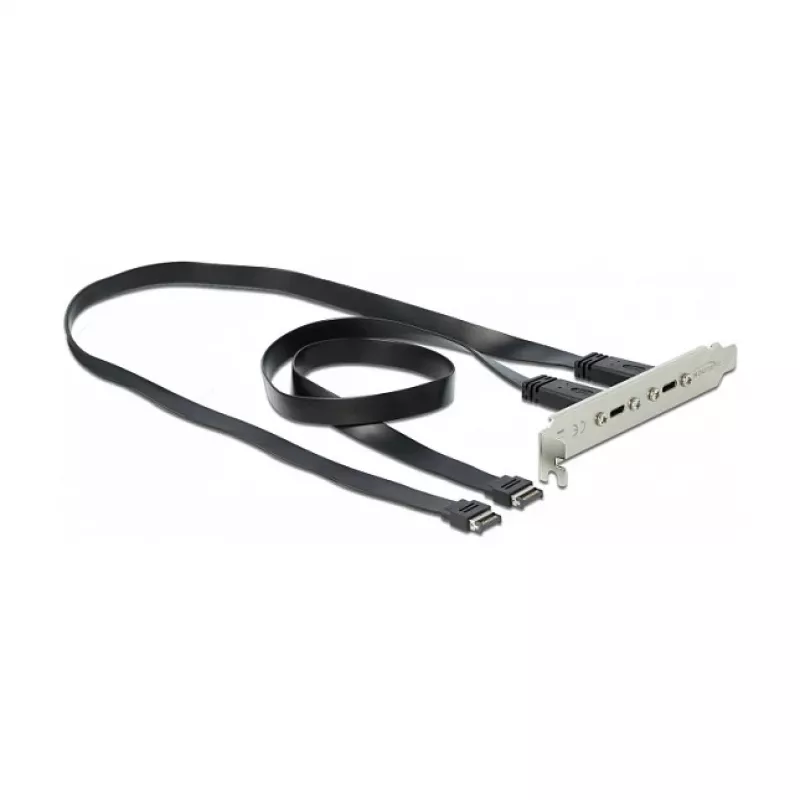 DeLOCK 89935 lizdo laikiklis su 2 x USB Type-C prievadais