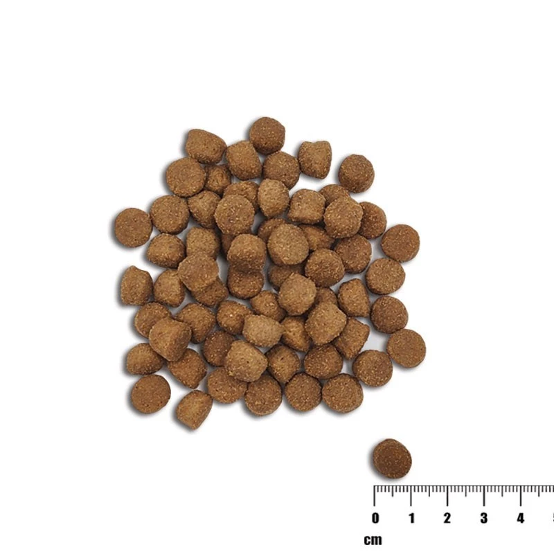Sausas šunų ėdalas VETEXPERT Raw Paleo Healthy Grain Puppy Salmon and Barley 10 kg, baltymai 29%, riebalai 17%, drėgmė 9%