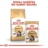 Sausas kačių ėdalas Royal Canin Maine Coon Adult 10 kg – paukštiena (vištiena), 31% baltymų, 20% riebalų