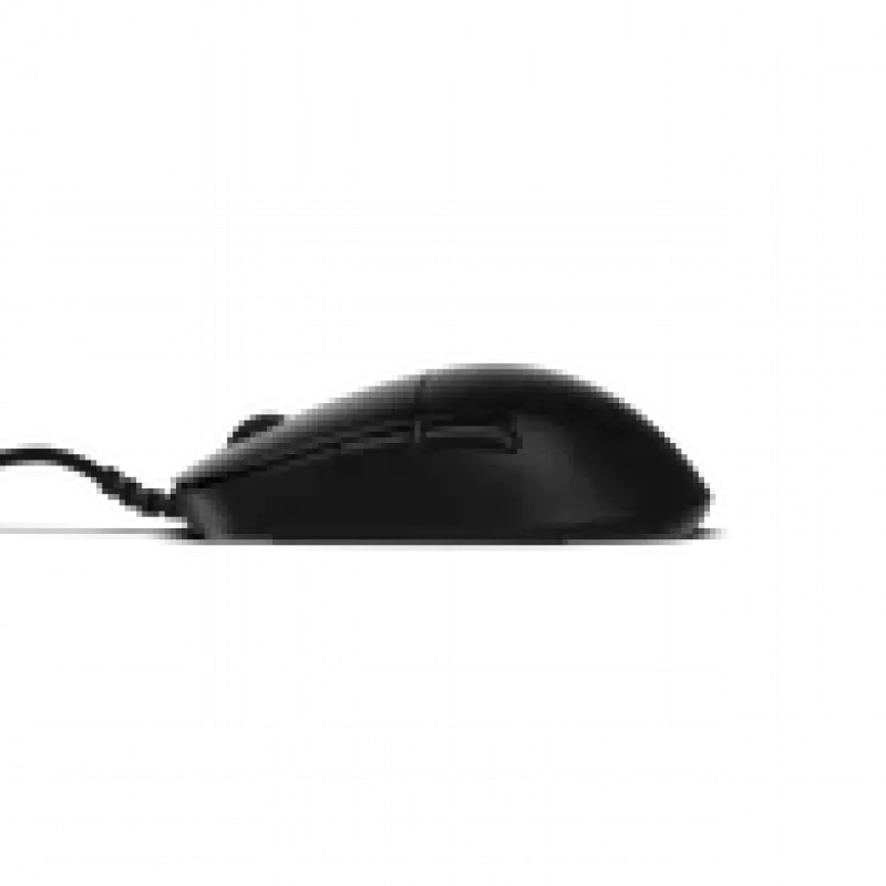 Pelėdas Endgame Gear XM2 8k v2