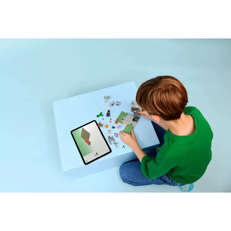 LEGO MINECRAFT 21586 Blyškusis sodas