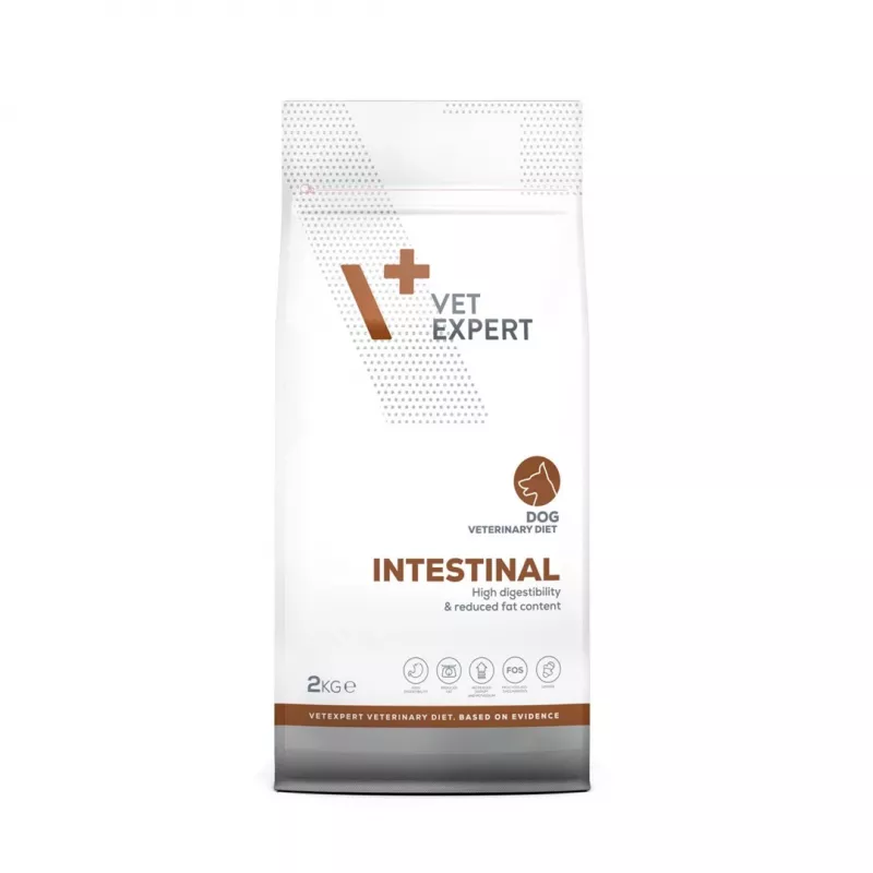 VET EXPERT Veterinary Diet Intestinal Dog – sausas šunų ėdalas – 2 kg