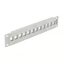 Patch Panel DeLOCK 43309 12 prievadų 10 inch