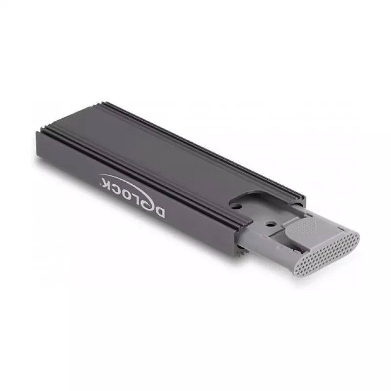 DeLOCK išorinis USB Type-C dėklas M.2 NVMe PCIe arba SATA SSD, be įrankių