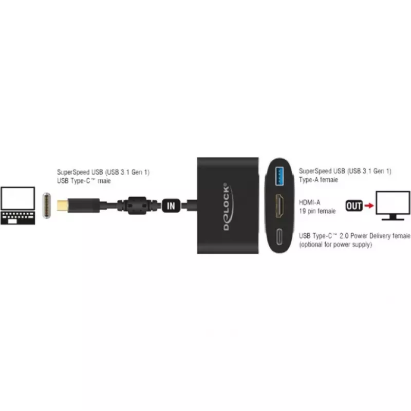 DeLOCK išorinis vaizdo adapteris VL101 USB-C 3.1 – HDMI pilka mažmeninė pakuotė (62991)