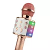 Manta MIC20-GL Gold karaoke mikrofonas su garsiakalbiu