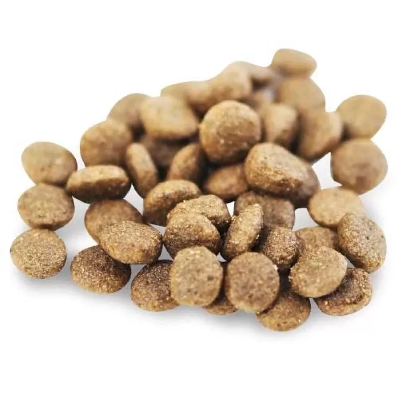 Sausas šunų ėdalas FISH4DOGS Superior Senior S Salmon — senjorams mažų veislių, 1,5 kg, 22% baltymų, 7% riebalų