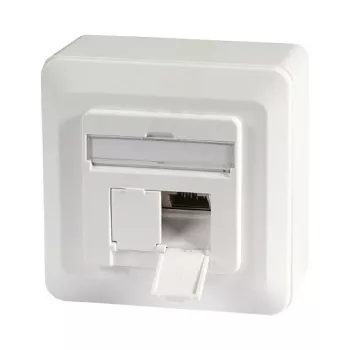 EFB-Elektronik Kištukinis lizdas Cat.6A 500MHz viršuje/apačioje, paviršinio montavimo, 2xRJ45, RAL9010