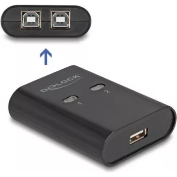 DeLOCK USB 2.0 išorinių įrenginių perjungiklis
