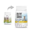 VETEXPERT RAW PALEO Ultra Mini Puppy Turkey sausas ėdalas šuniukams, 2 kg