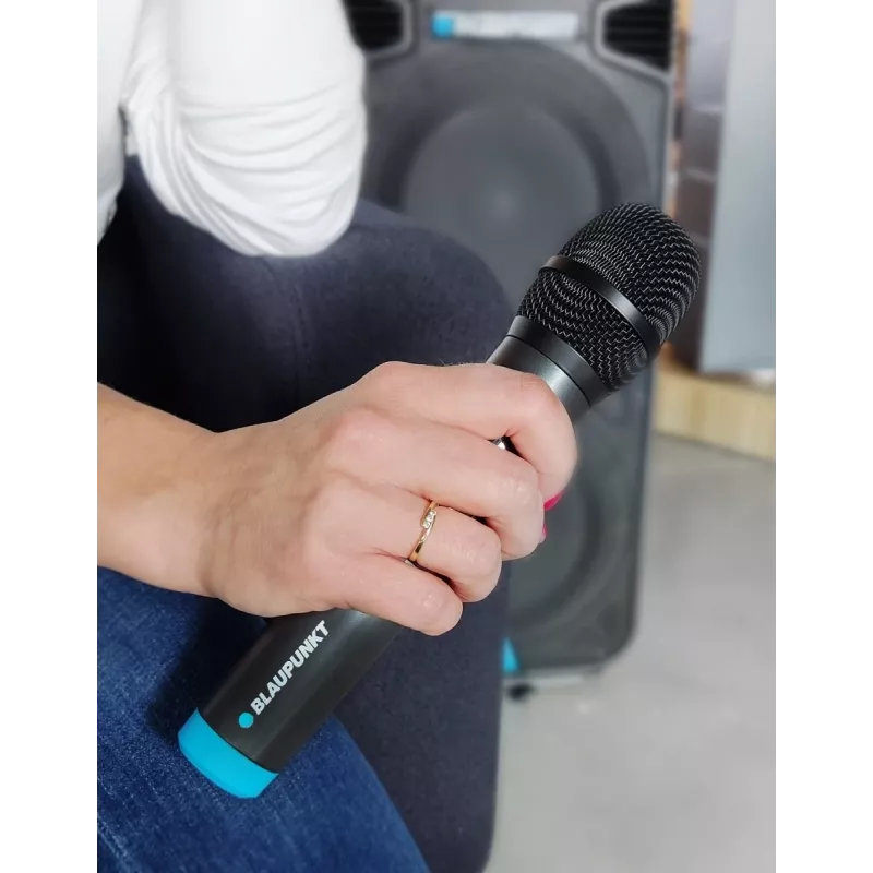 Mikrofonas Blaupunkt WM60UDB