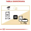 ROYAL CANIN FBN Maine Coon - Šlapias ėdalas katėms - paketėlis 12x 85g