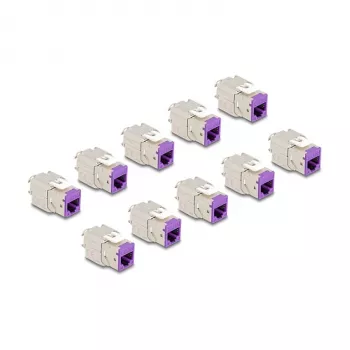 DeLOCK keystone modulis 88121 Plokščias Violetinis RJ-45 10 vnt.