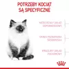 Sausas kačių ėdalas Royal Canin Kitten 4 kg Paukštiena
