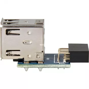 Adapteris DeLOCK 1 x 9 kontaktų 2,54 mm / 2 x USB 2.0-A 41825