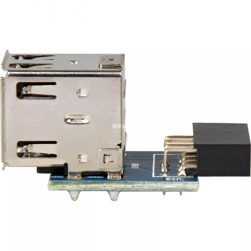 Adapteris DeLOCK 1 x 9 kontaktų 2,54 mm / 2 x USB 2.0-A 41825