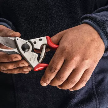 Kairiarankės genėjimo žirklės Felco FELCO 16