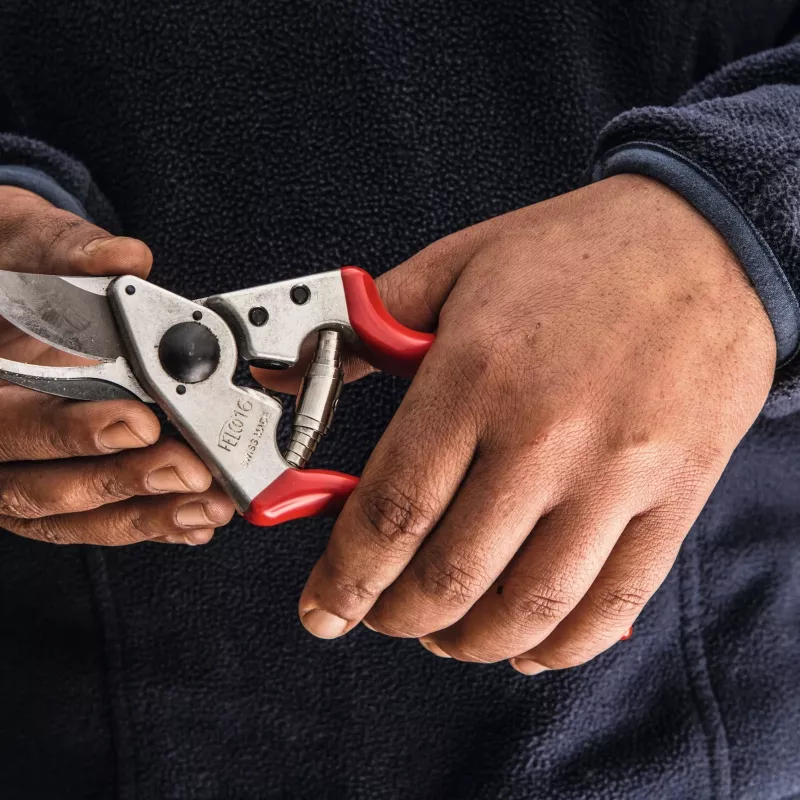 Kairiarankės genėjimo žirklės Felco FELCO 16