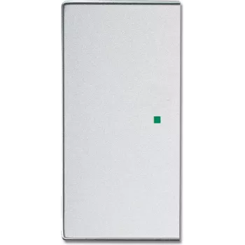 Busch-Jaeger 2CKA006220A0048 dengiamasis rėmelis jutiklio laikikliui ir lizdui, sidabrinis