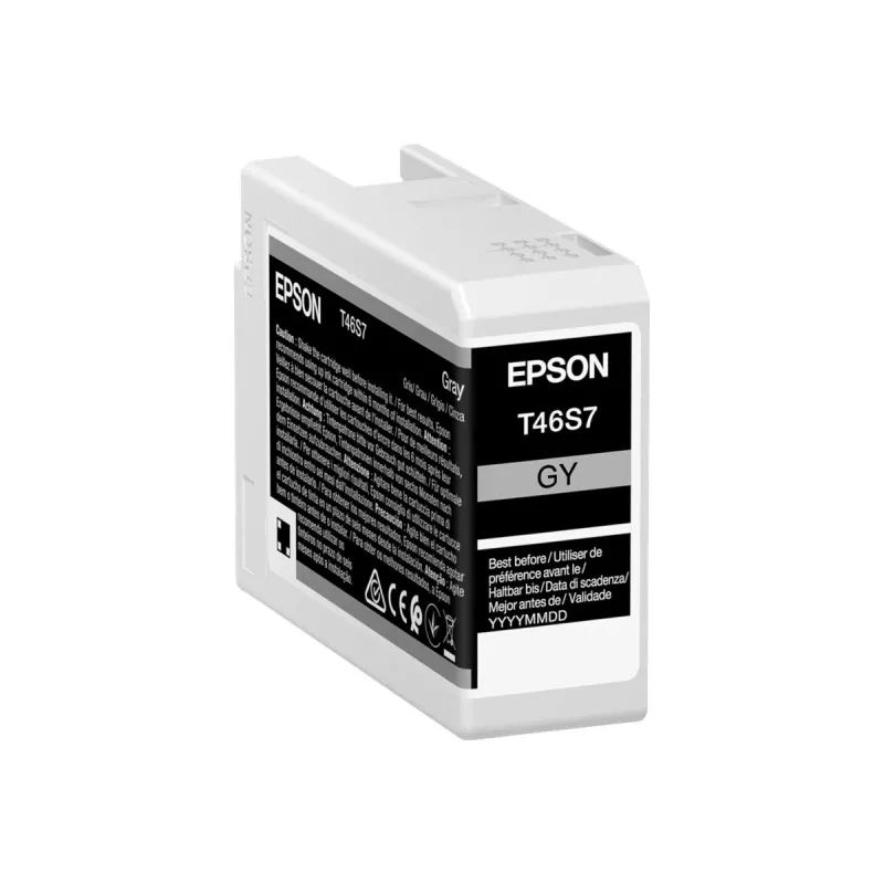 Originali Epson UltraChrome Pro 10 T46S7 pilka kasetė