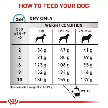 Sausas šunų ėdalas Royal Canin Anallergenic Small – hipoalerginis mažų suaugusių šunų ėdalas, 3 kg, mėsos skonio, be glitimo ir cukraus