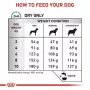 Sausas šunų ėdalas Royal Canin Anallergenic Small – hipoalerginis mažų suaugusių šunų ėdalas, 3 kg, mėsos skonio, be glitimo ir cukraus